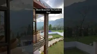 Found This Tea Garden Homestay in DARJEELING 🍵🏡 #passionatejit #teagardenstay #darjeeling