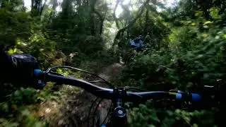 Mountain biking Santa Cruz CA --- Wilder Ranch State Park. Watch out for the bobcats!!
