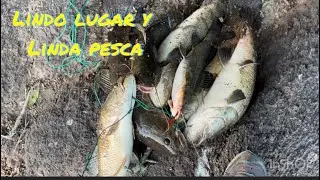 INCREÍBLE PESCA EN LUGAR PRIVADO  5🐟🇺🇾