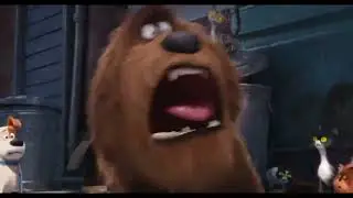 Duke's Reaction to Porky Pig's Rage Face