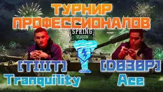 Tranquility [TIIIT] vs Ace [D030P] | ТОП-4 Турнира Профессионалов | TS Тильтов | WoT Blitz