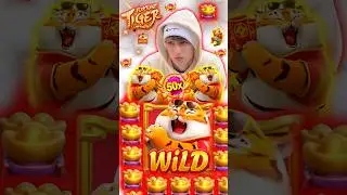 Fortune Tiger pagou muito o 🤑(inscrito)@omarkola #dinheiro #slot #casino #canal #ganhardinheiro