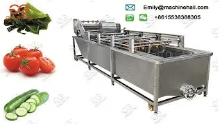 Vegetable and Fruit Washing Machine in Testing/Automatic Vegetable Washing Machine