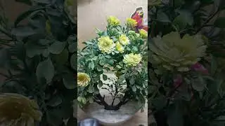 Live Chat / Gup Shup Only Voice