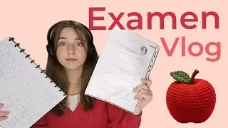 Kerstexamen vlog!😬📚
