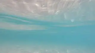 mi2020 northern beach 1