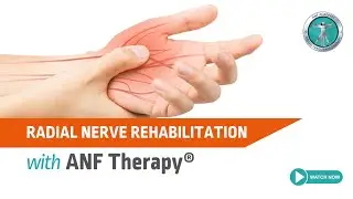Radial nerve rehabilitation with ANF Therapy&reg;