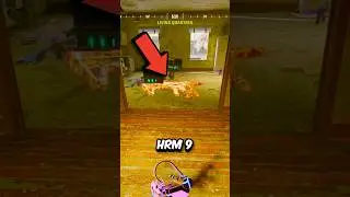 I found a SECRET META 😳