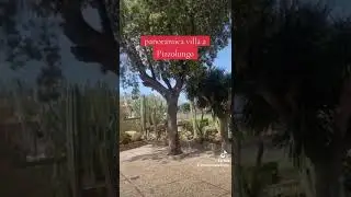 Video Pizzolungo