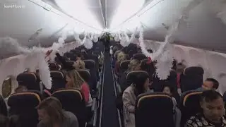 Journey to the North Pole