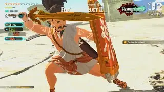 Hyrule Warrior: Age of Imprisonment | Island in the Sky, Beat Flux Construct - As Four Team [SW2]
