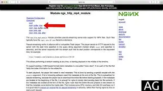 Video stream ngx_http_mp4_module | Nginx