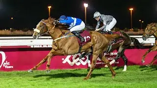 RM 40  Al Uqda Race 8 -   Al Arish Cup