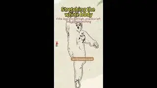Tai Chi Health Preservation Knowledge Live Broadcast