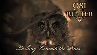 OSI AND THE JUPITER - Lurking Beneath the Pines (Official Music Video)