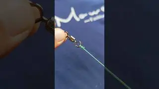 The Easiest Way to Tie Swivel Knots for Every Species: Beginner Friendly