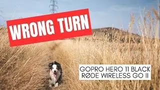 Gamedev gets lost with his Border Collie (ft. GoPro Hero 11 Black  / Rode Wireless GO)