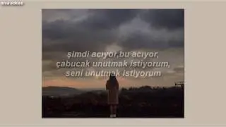 One Ok Rock-Heartache (Türkçe Çeviri)