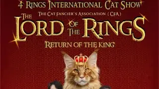 International Cat Show CFA