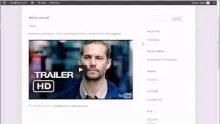 CodeCanyon - WordPress YouTube video post : how to use shortcodes
