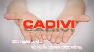 KARAOKE - CADIVI ĐEM NGUỒN SÁNG ĐẾN MỌI NƠI 2
