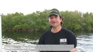 Gulf Coast Innovation Challenge