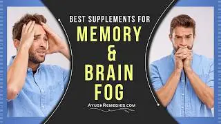 Best Supplements for Memory and Brain Fog: Improve Your Brain Power