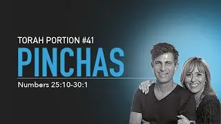 Torah Portion Pinchas 