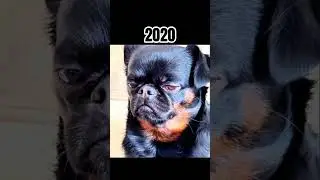 Animal's & top virals people's oF Memes #(then vs now)#memesworldofficial #subscribe