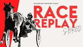 Мохок, Сбред, 12 октября 2024 г., скачка 8 | Повтор скачек Woodbine