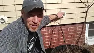 What is a Micro-Climate, How to Find and Use Them &ndash; Karl&rsquo;s Food Forest Garden: S001E083