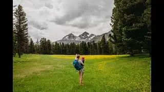 Footsteps Walking Slow in Grass Sound Effect