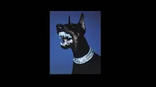 ✧free✧ ПОЛКА x FRIENDLY THUG 52 NGG type beat - Swag