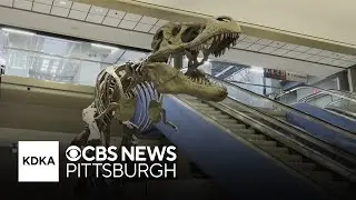 What's the future of the T. rex and train system at Pittsburgh International Airport?