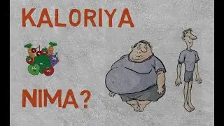 Kaloriya nima? // Калория нима?