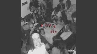 WEIRD KIDD