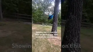 Swing physics: kinetic energy isn&rsquo;t enough to hit the tree! Trust me.