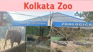 Alipore Zoological Garden || Kolkata Zoo 