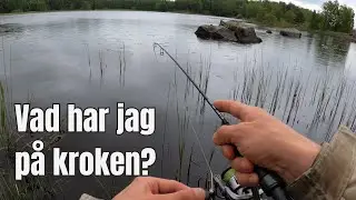 Artjakt med XUL-spö - vad fångar jag?