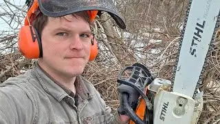Maple syrup prep and resolutions 