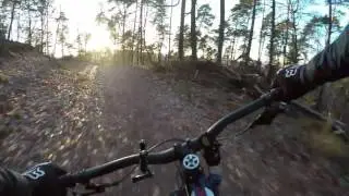 Trail No.2  (raw)