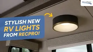 RecPro's RV 12V Ceiling and wall Light with Matte Black and Gold Trim Finish