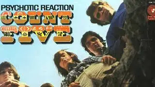 COUNT FIVE * Psychotic Reaction   1966       HQ
