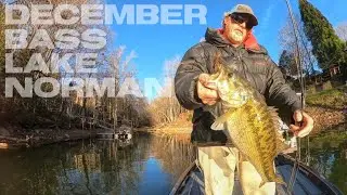 Catching Bass in December on Lake Norman