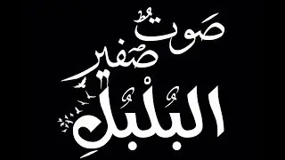 صوت صفير البلبل | راب عربي | ALONE | 2017