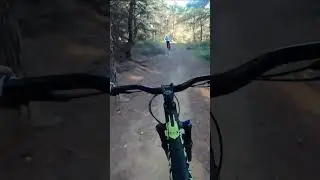mtb downhill in la serreta de corbins gopro pov #bike #gopro  #bikeride #downhill  #mtbdh