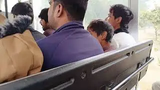 Deer Safari🦌 Adventure at Lahore Safari Zoo 🐘🐼🐯 | Lahore Safari after renovation | Lahore safari 