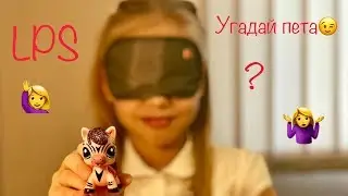 LPS CHALLENGE - насколько знаю я своих петов! ( Littlest pet shop)