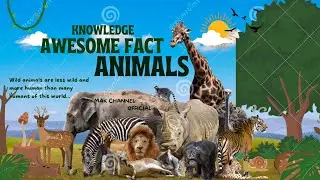 The Most Amazing Strange Animal Facts || A Top N GuideUnbelievable Animal FactsA ComprehensiveGuide