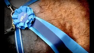 V85 Svepet Solvalla 2025-12-26